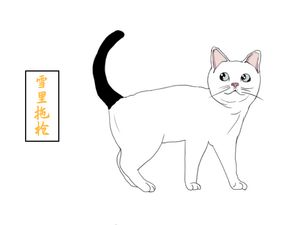 快来看看,如果在古代,你的猫叫什么名字