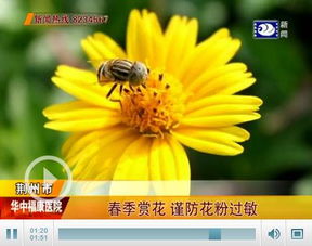 赏花季该如何有效预防花粉过敏了 米粒分享网 Mi6fx Com