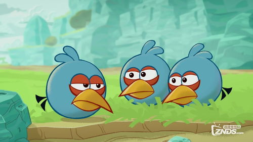 愤怒的小鸟动画片免费,对于免费观看《愤怒的小鸟》动画的流媒体服务付费感到厌烦吗?好消息!可以免费观看《愤怒的小鸟》动画