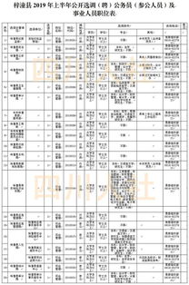 四川多个市州招聘 考调人才啦 共计1348个名额