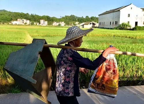 乡村留守妇女的现实困境,你知道哪些 要如何保障自己的权益