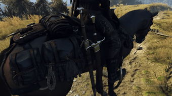 巫师3狂猎可以将剑放在马背上MOD 