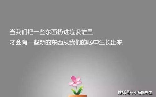 人生格言励志短句霸气生意（顺风顺水的文案霸气？）