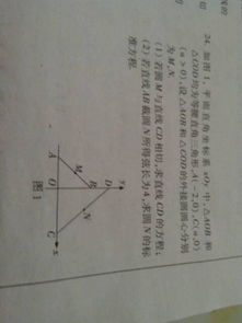 在写数学作业没有答案求过程看和自己写的是否一样 