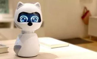 法国今夏遗弃宠物创新高 机器人宠物Kiki正式发售 宠业简报
