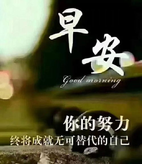 夏季早晨励志经典语句 微信激励人心的励志语录