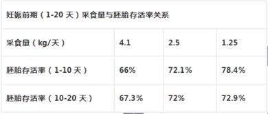 怎么计算受胎率和返情空怀率