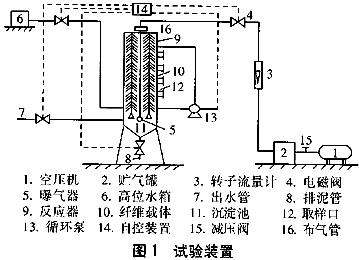 生物除磷的机理及工艺