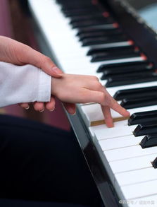 中央音乐学院有钢琴培训班吗