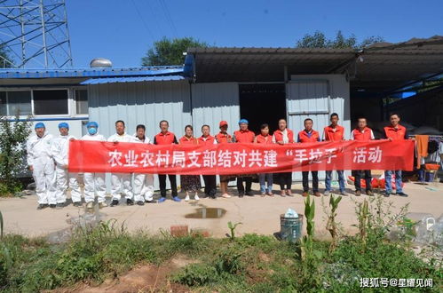 卢氏县农业农村局 开展支部结对共建 手拉手 活动