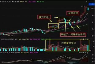 炒股的股是和股票是一样吗，买入即是股东吗