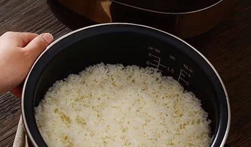 电饭煲热饭要不要加水 电饭煲怎么蒸米饭