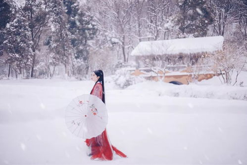 一炉雪(一炉雪原文)