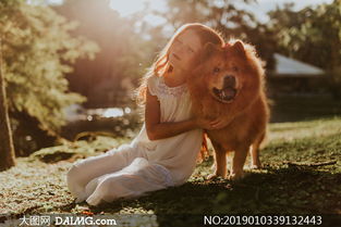 抱着狗狗的小女孩人物摄影高清图片