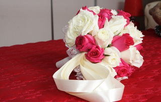 新娘玫瑰花,新娘玫瑰花的浪漫意义