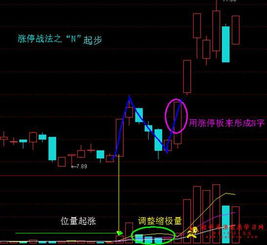 股票后面有个圈，里面写个融字，什么意思，融资吗