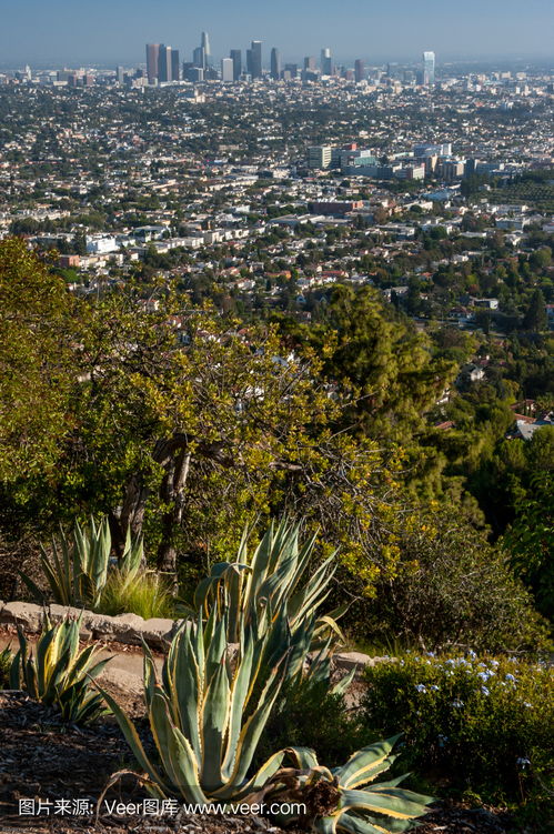 photo op los angeles,Photo Op Los Angeles: Capturing the City’s Essence