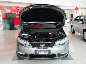 福瑞迪 2012款 1.6L MT GLS 纪念版最新报价-图片...,起亚福瑞迪车怎么样？要多少钱？-第1张图片