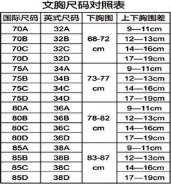 胸罩的分类 