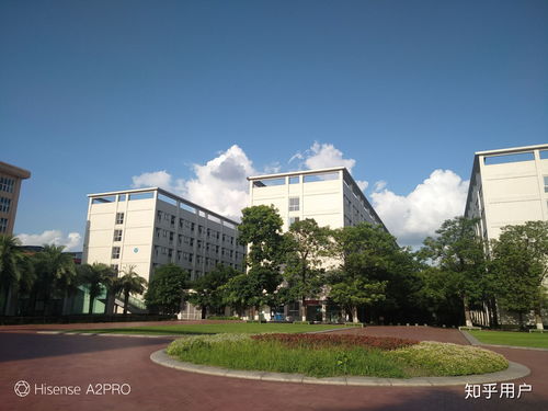 四川大学哪些学院