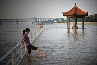 中到大雨袭来 双休日武汉 泡在水中 