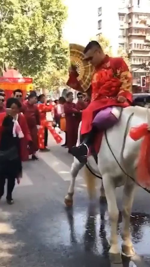 新郎骑马去接新娘,没想到马很不配合,所有人都笑翻了 