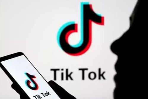 tiktok 韩国版_为什么要投TikTok