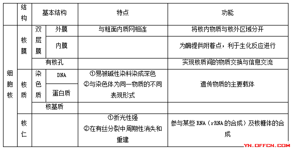 细胞核的相关知识