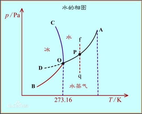 在使用电压力锅水的沸点升高的原因物理 