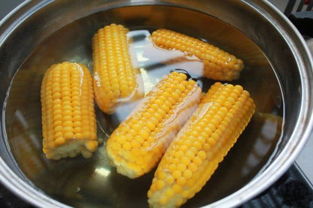 新鲜玉米要煮多久才熟透,一根生的白玉米煮多久能熟