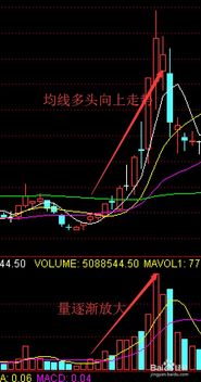 请问最后集合竞价主力挂单1000手 ，只成交了800手，那剩余200手在哪里看到？