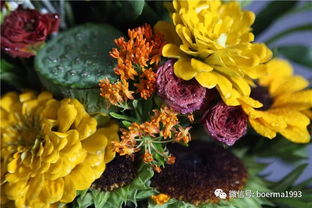 评选国花的理由是什么??中国的国花是什么花呢