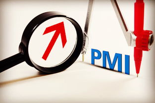 PMI指数基金是什么