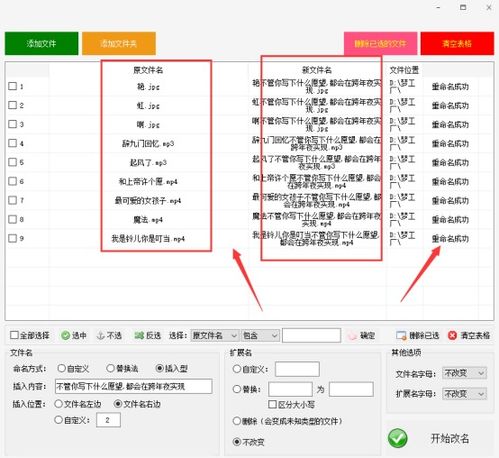 重命名技巧,如何在每个文件的文件名中插入新的内容