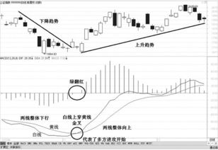 macd指标的黄线和白线个代表什么意思？其中能看出什么