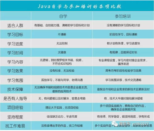 告别天价！揭秘最实惠的Java培训学费价格表，让你轻松入门编程世界