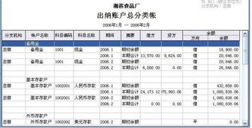 新股入账什么意思