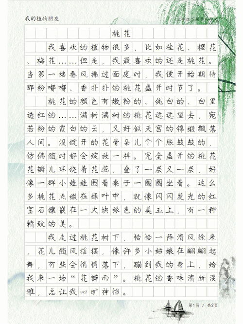 三年级作文桃花300字(作文《桃花》300字以上)