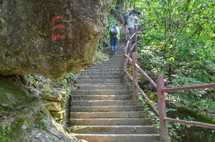 山奇水秀松绝 浙江小黄山就在临安