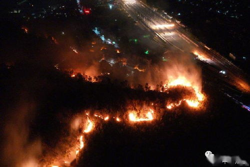 19人遇难 西昌大火猛烈燃烧,火场5公里内居民已撤离,向学校蔓延