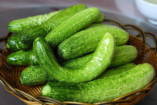 为什么减肥不建议吃黄瓜 什么蔬菜刮油减肥最有效