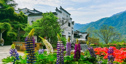 婺源篁岭门票,婺源篁岭门票预订,婺源篁岭门票价格,去哪儿网门票 