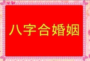 八字命理分析哪些属相适合结婚,哪些不利