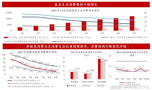 2022年国家的大消费指的是哪类股票？