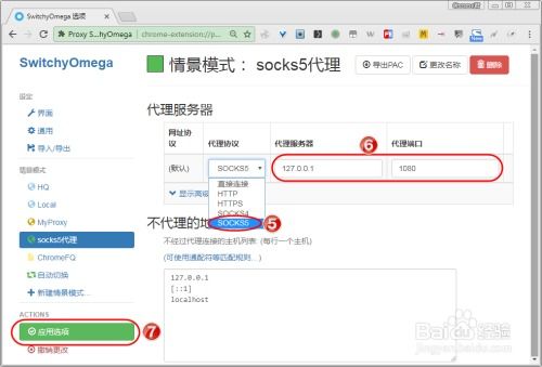 如何为chrome浏览器设置socks5代理 (免费代理服务器chrome)