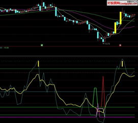 请问最有效的相对有效的抄底指标