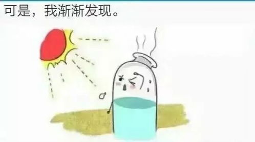 一个水瓶的故事 ,触动了无数人的心弦 