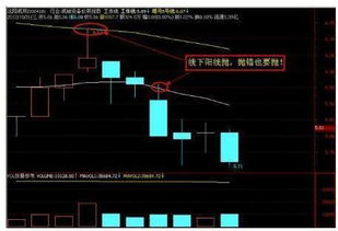 什么叫“线上阴线买，线下阳线抛”？这句有什么道理？