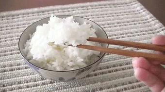 增肥食品这个 锅 白米饭可不背