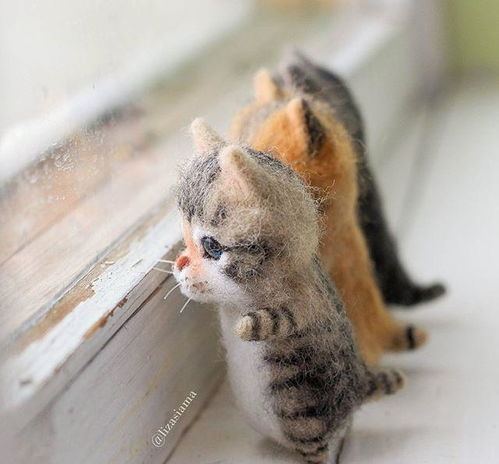 俄罗斯网友用羊毛毡做了很多 小猫 ,跟真的一样